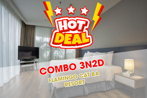 Combo Flamingo Cát Bà 3N2Đ