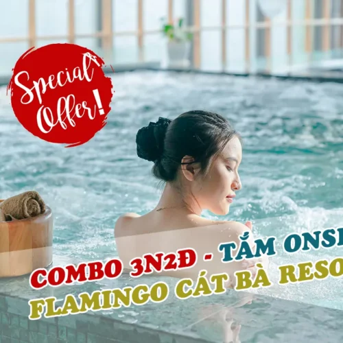 Combo Flamingo Cát Bà