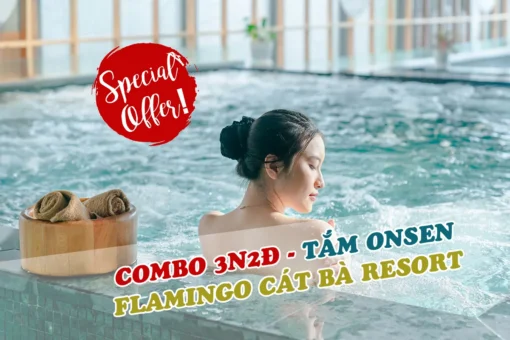 Combo Flamingo Cát Bà